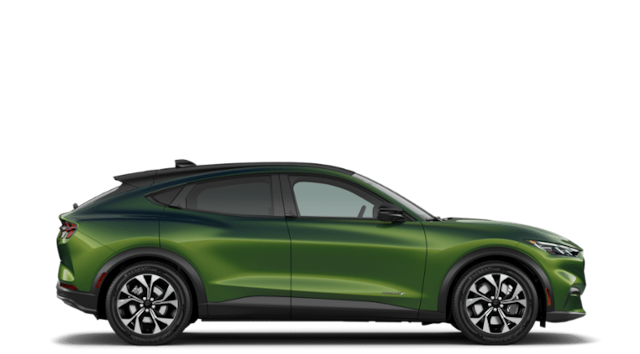 2026 Ford Mache